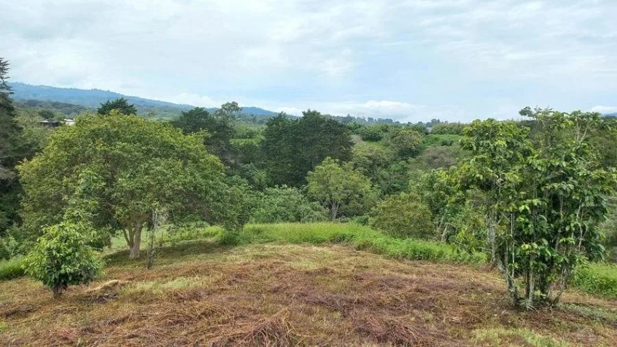 Venta de Excelente Lote en Mata de Plátano San José - Venta en Mata de Platano, photo 7