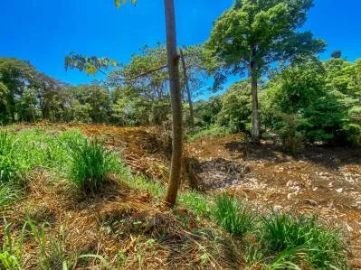 Terreno selvático de 2,46 acres en venta en Ojochal, con límite fluvial., photo 2