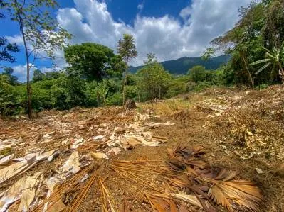 Terreno selvático de 2,46 acres en venta en Ojochal, con límite fluvial., photo 4