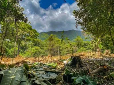 Terreno selvático de 2,46 acres en venta en Ojochal, con límite fluvial., photo 5