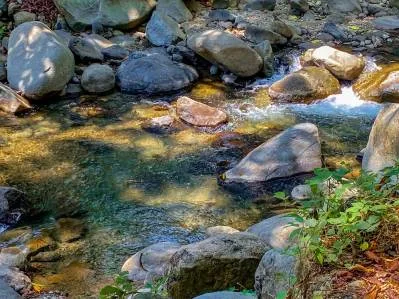 Terreno selvático de 2,46 acres en venta en Ojochal, con límite fluvial., photo 6
