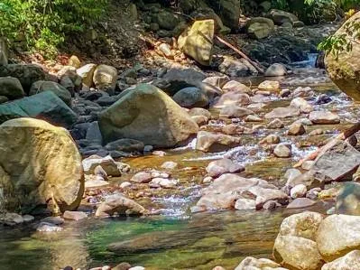Terreno selvático de 2,46 acres en venta en Ojochal, con límite fluvial., photo 7