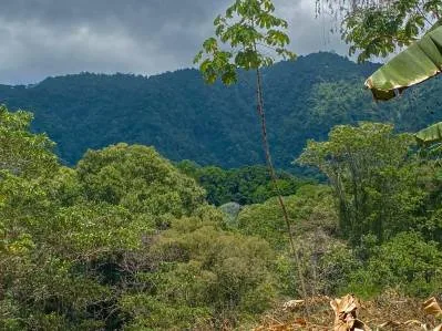 Terreno selvático de 2,46 acres en venta en Ojochal, con límite fluvial., photo 9