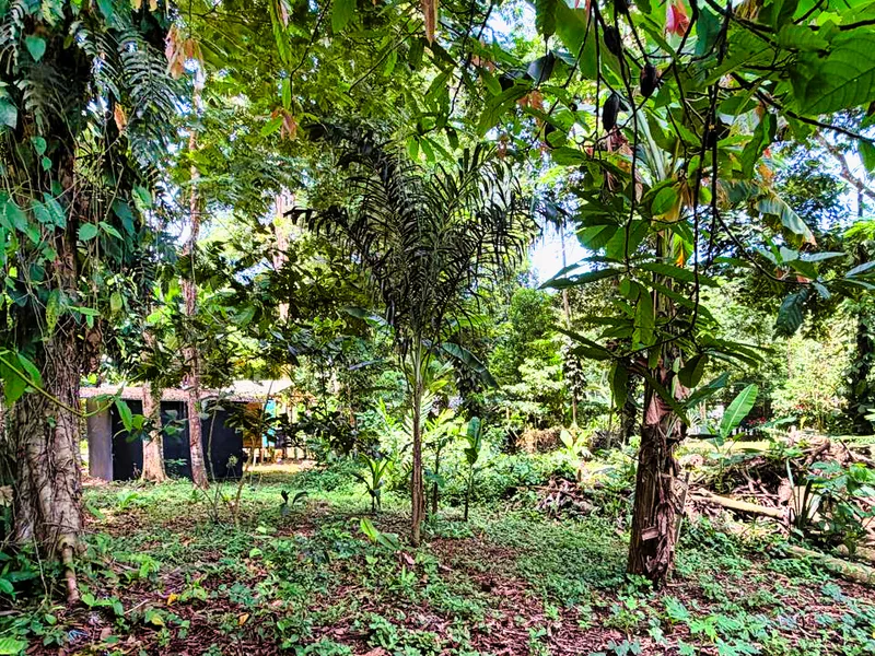 2 Bed Single Family Homes For Sale in Puerto Viejo, photo 8