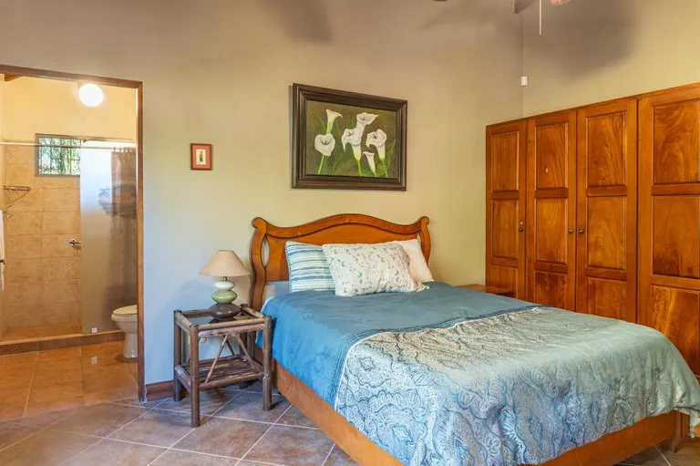House in Playa Samara, photo 2