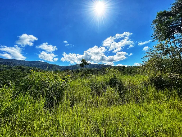 Exclusive Two-Lot Oasis: Your Dream Home Awaits in Gated Paradise!, photo 12
