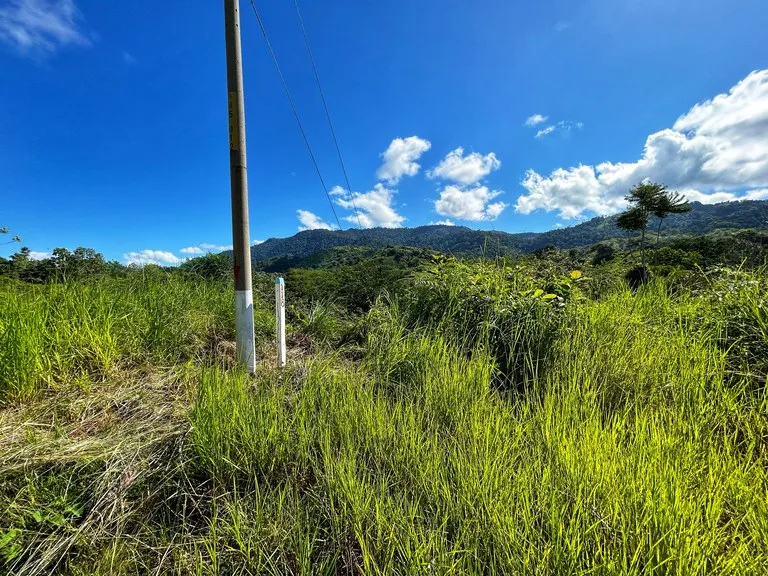 Exclusive Two-Lot Oasis: Your Dream Home Awaits in Gated Paradise!, photo 15