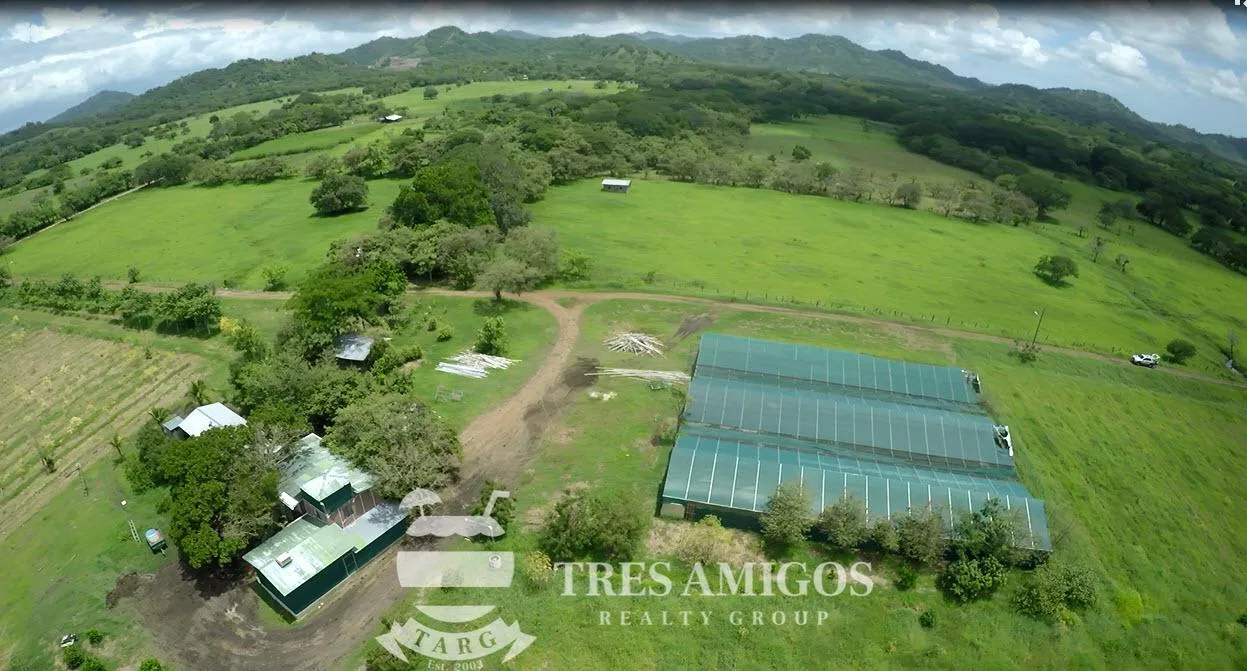 73 HECTARE FARM