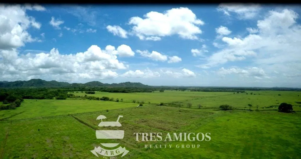 73 HECTARE FARM, photo 2