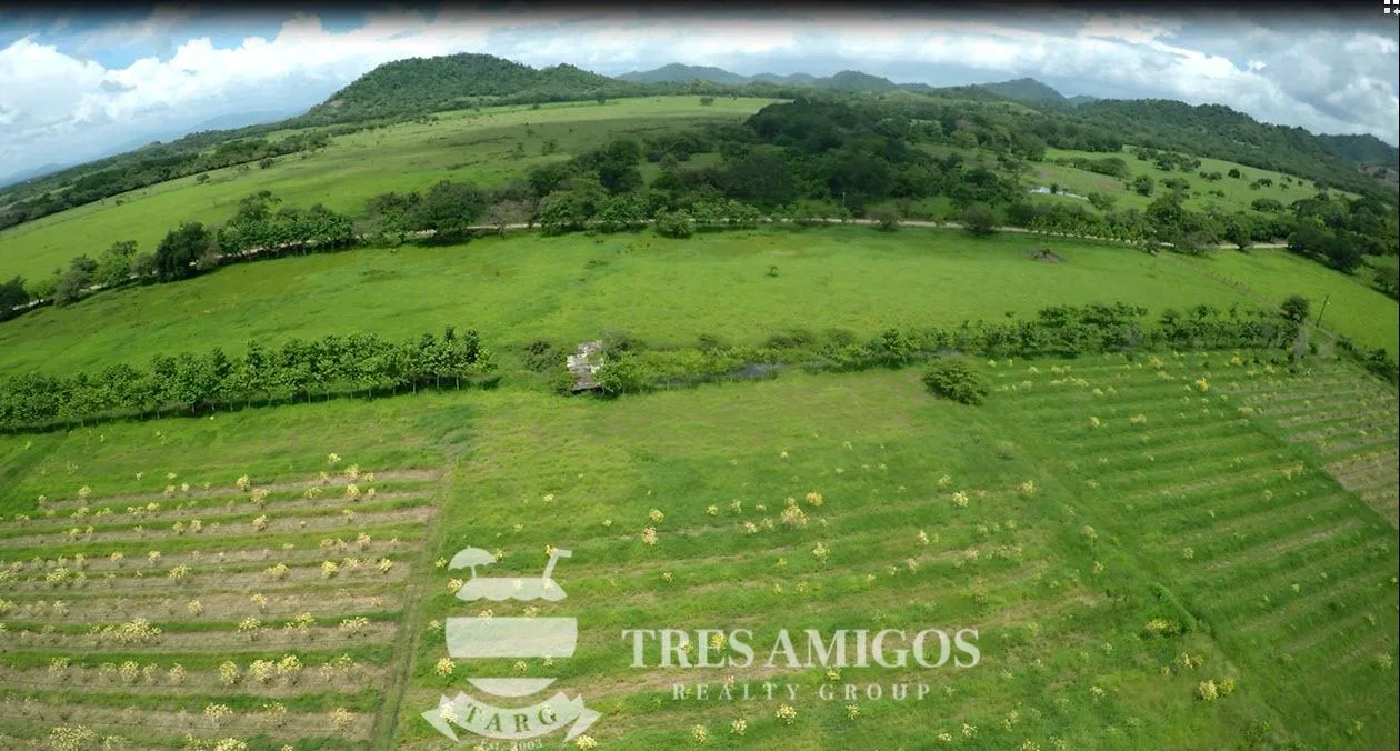 73 HECTARE FARM, photo 11