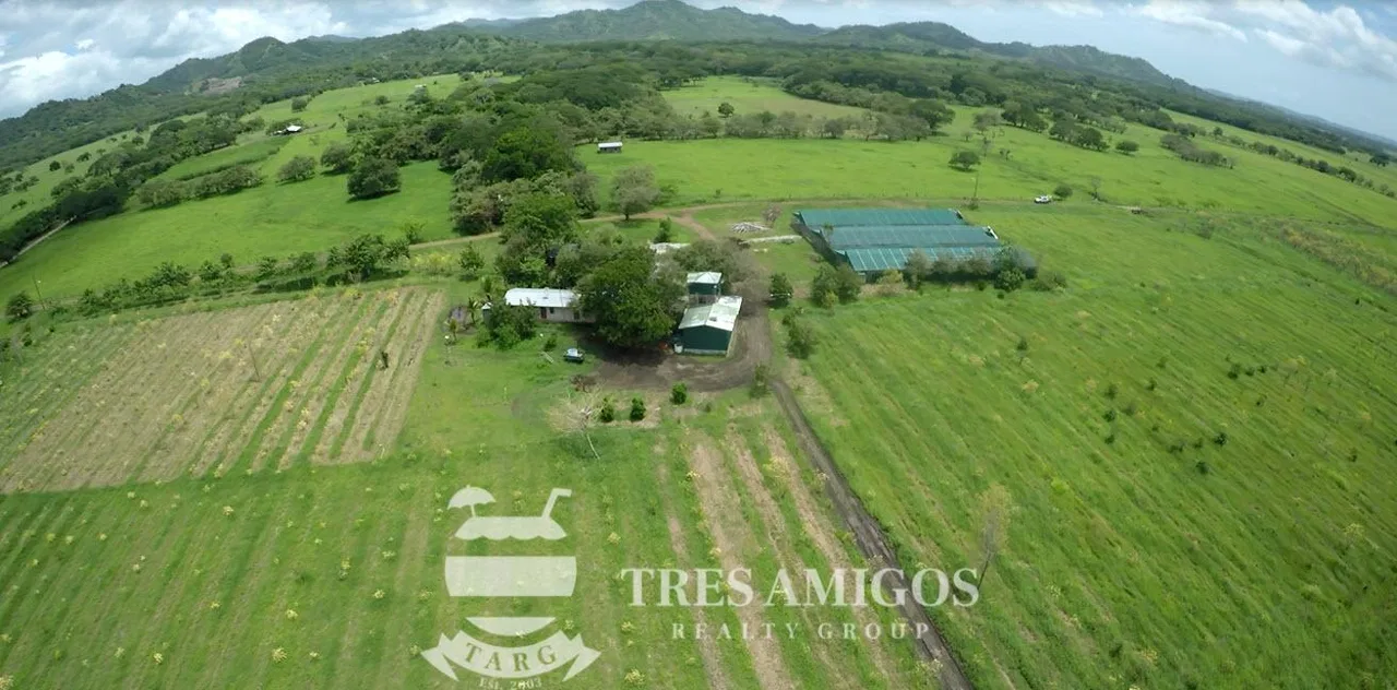 73 HECTARE FARM, photo 12
