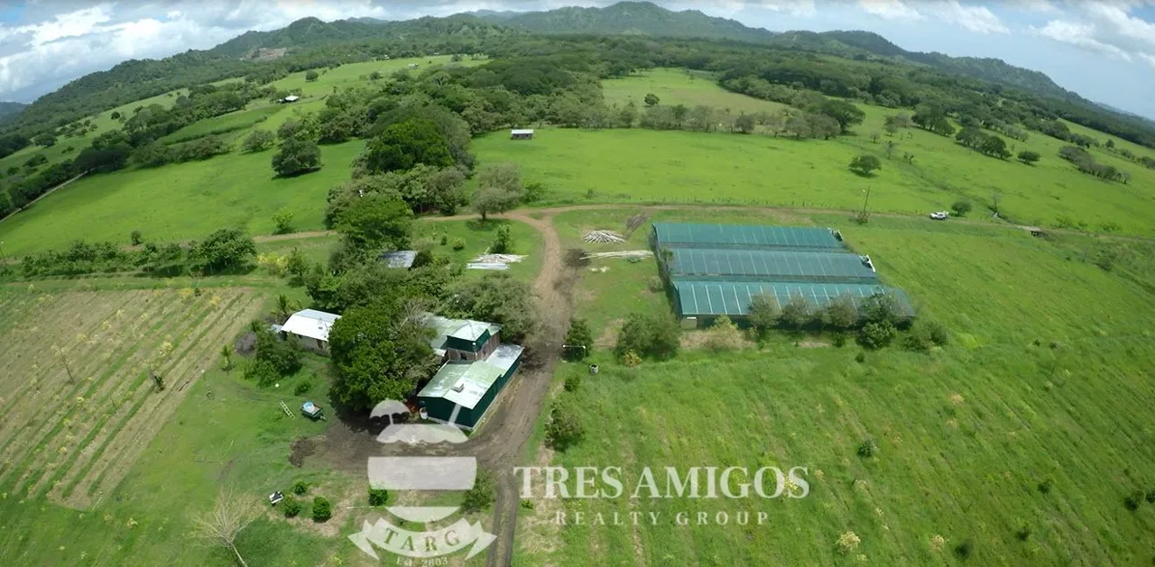 73 HECTARE FARM, photo 13