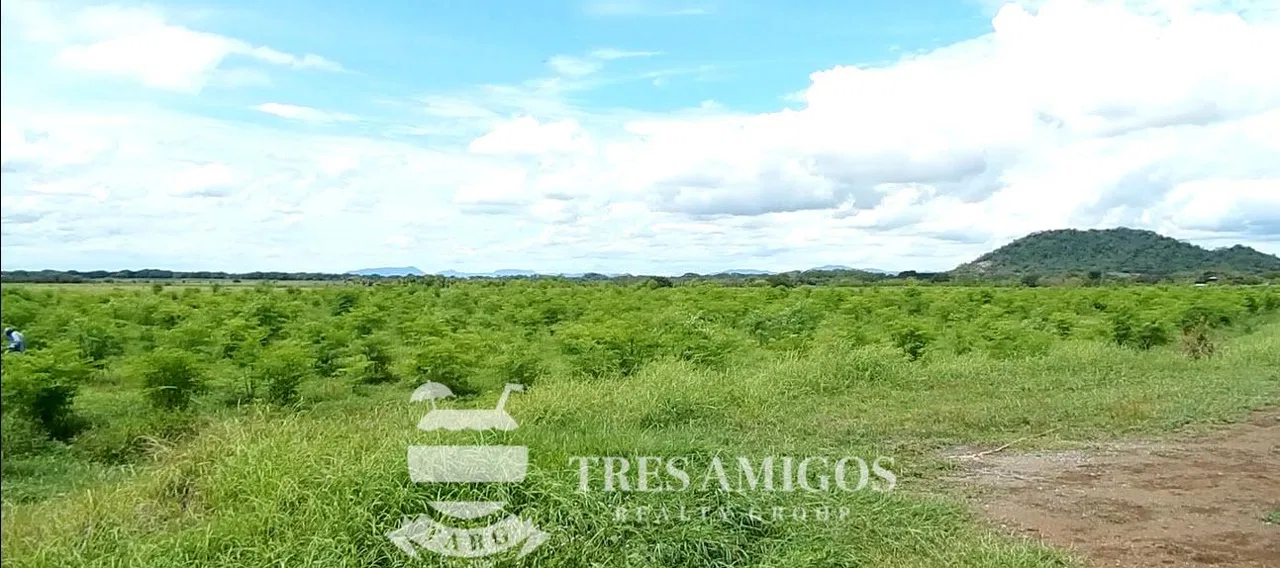 73 HECTARE FARM, photo 17