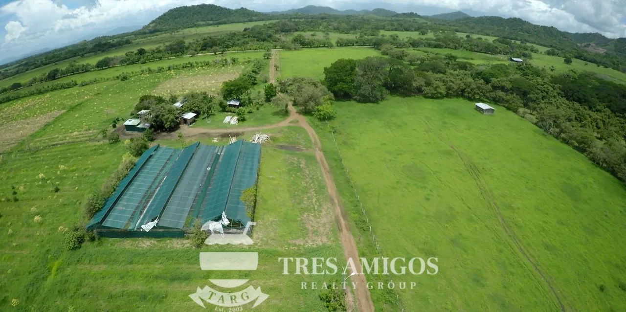 73 HECTARE FARM, photo 19