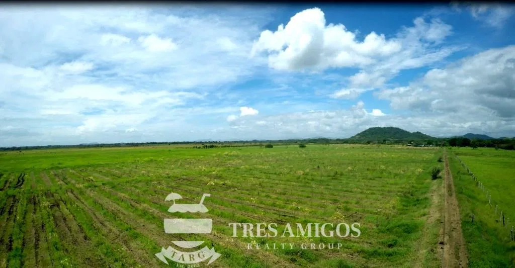 73 HECTARE FARM, photo 3