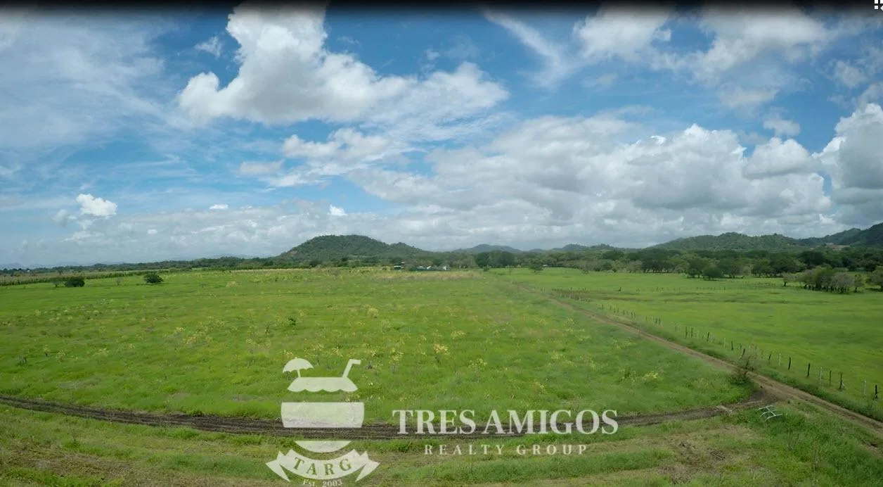 73 HECTARE FARM, photo 4