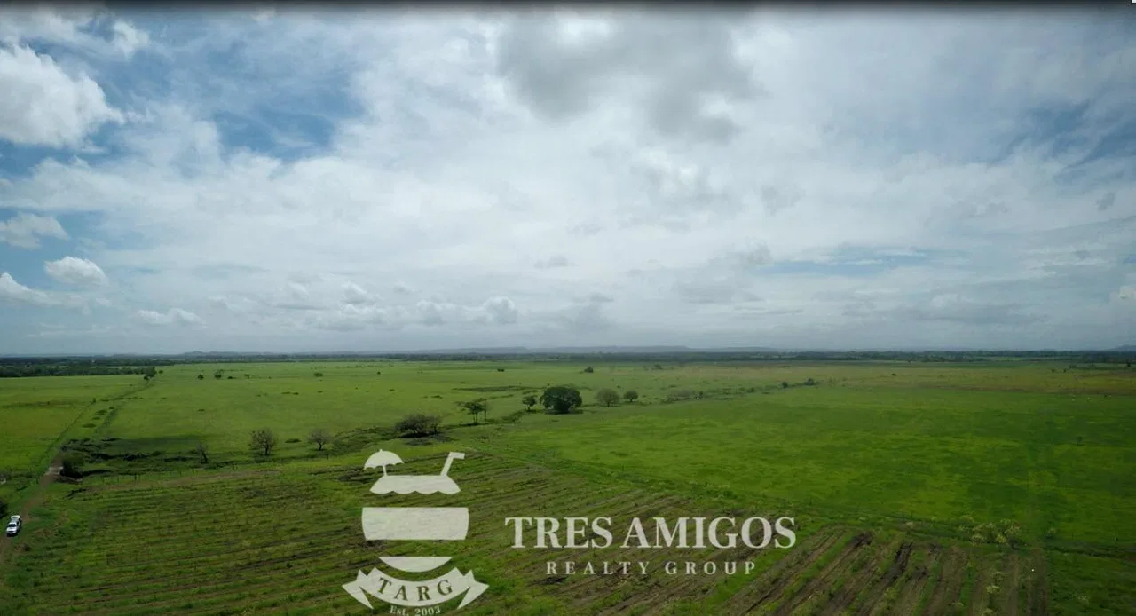 73 HECTARE FARM, photo 5