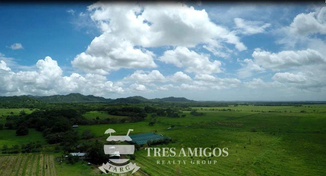 73 HECTARE FARM, photo 6