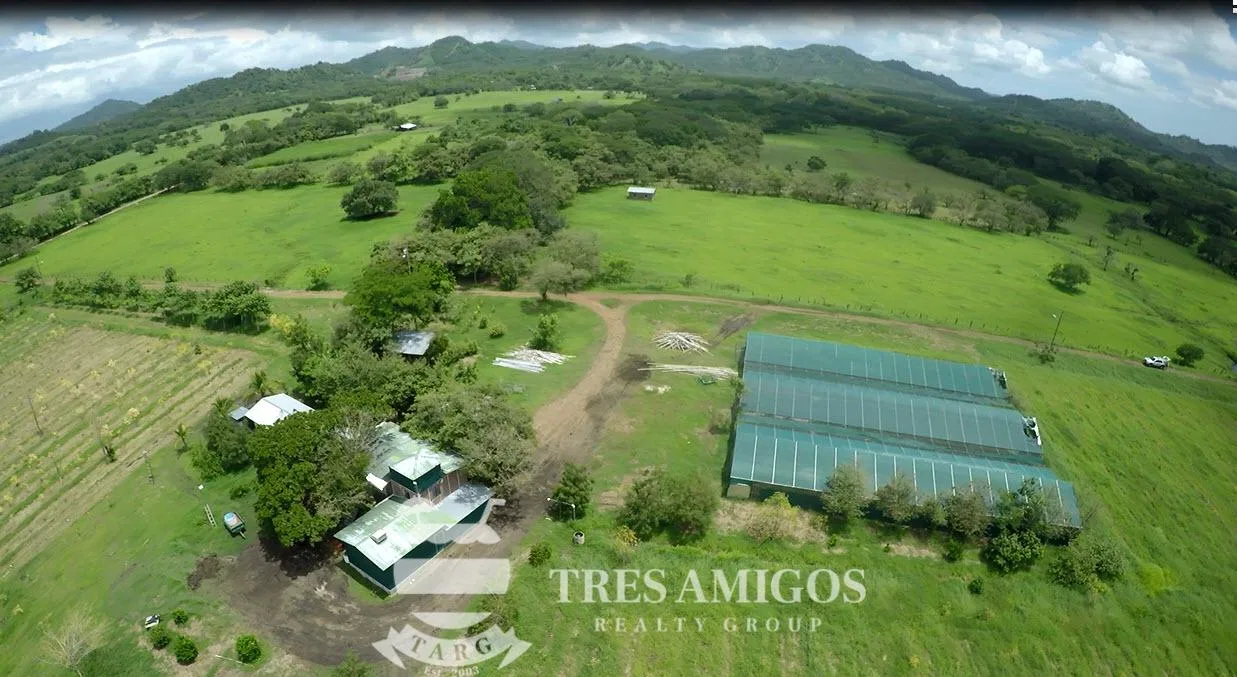 73 HECTARE FARM, photo 7