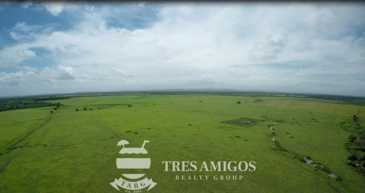 73 HECTARE FARM, photo 8