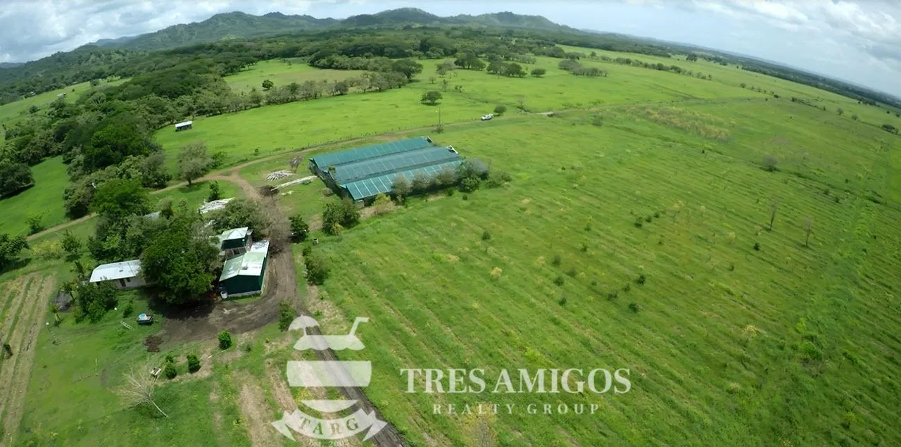 73 HECTARE FARM, photo 9