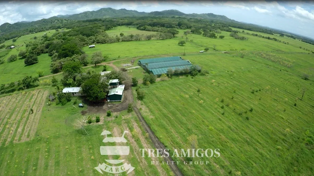 73 HECTARE FARM, photo 10