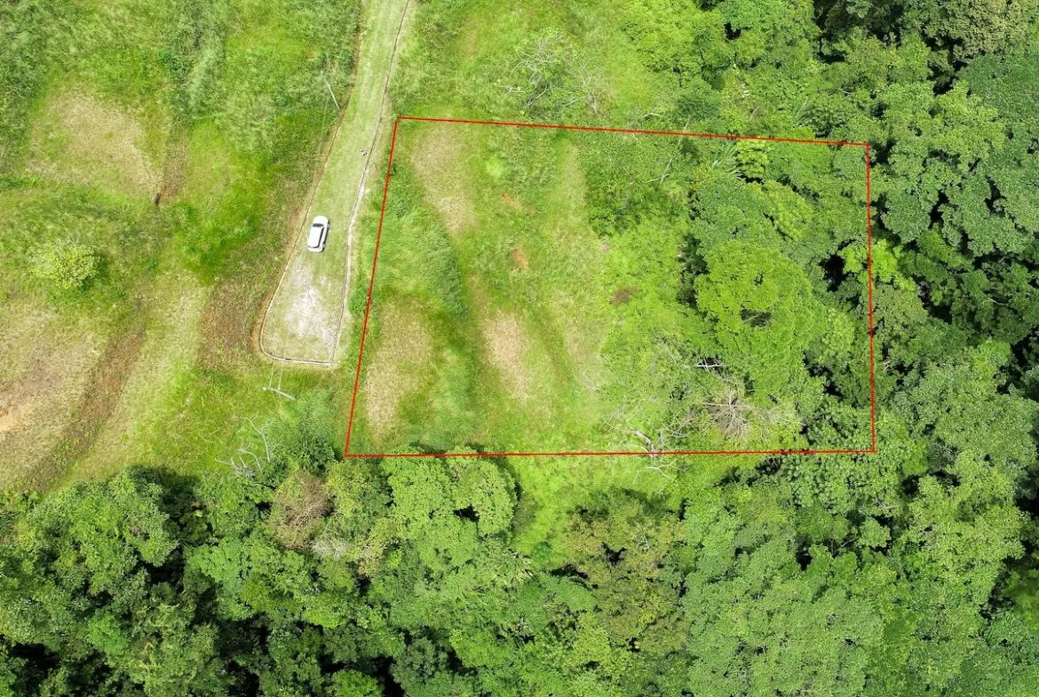 BUILDING PROPERTY WITH AMAZING PANORAMIC OF THE OCEAN, IN TORTUGA ARRIBA PHASE 6 – 0.21 ACRES, photo 2