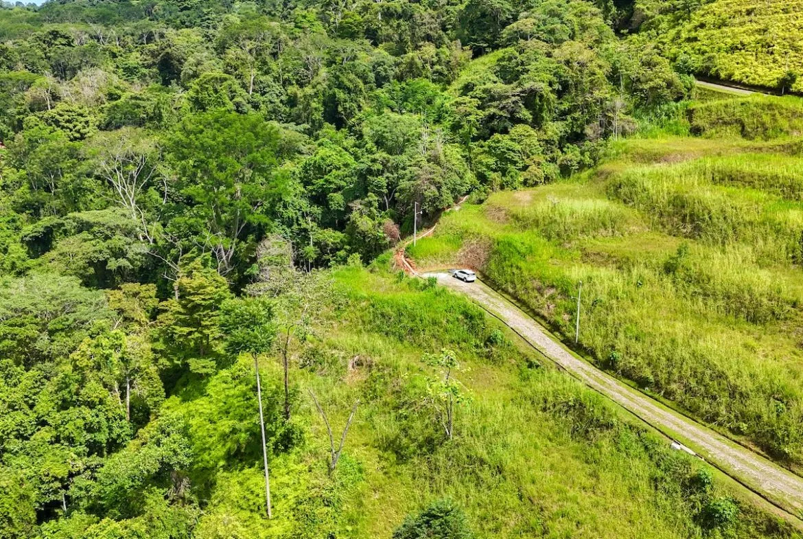 BUILDING PROPERTY WITH AMAZING PANORAMIC OF THE OCEAN, IN TORTUGA ARRIBA PHASE 6 – 0.21 ACRES, photo 12