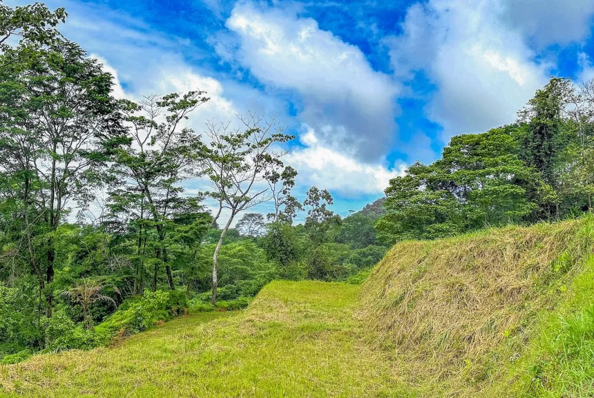 BUILDING PROPERTY WITH AMAZING PANORAMIC OF THE OCEAN, IN TORTUGA ARRIBA PHASE 6 – 0.21 ACRES, photo 22