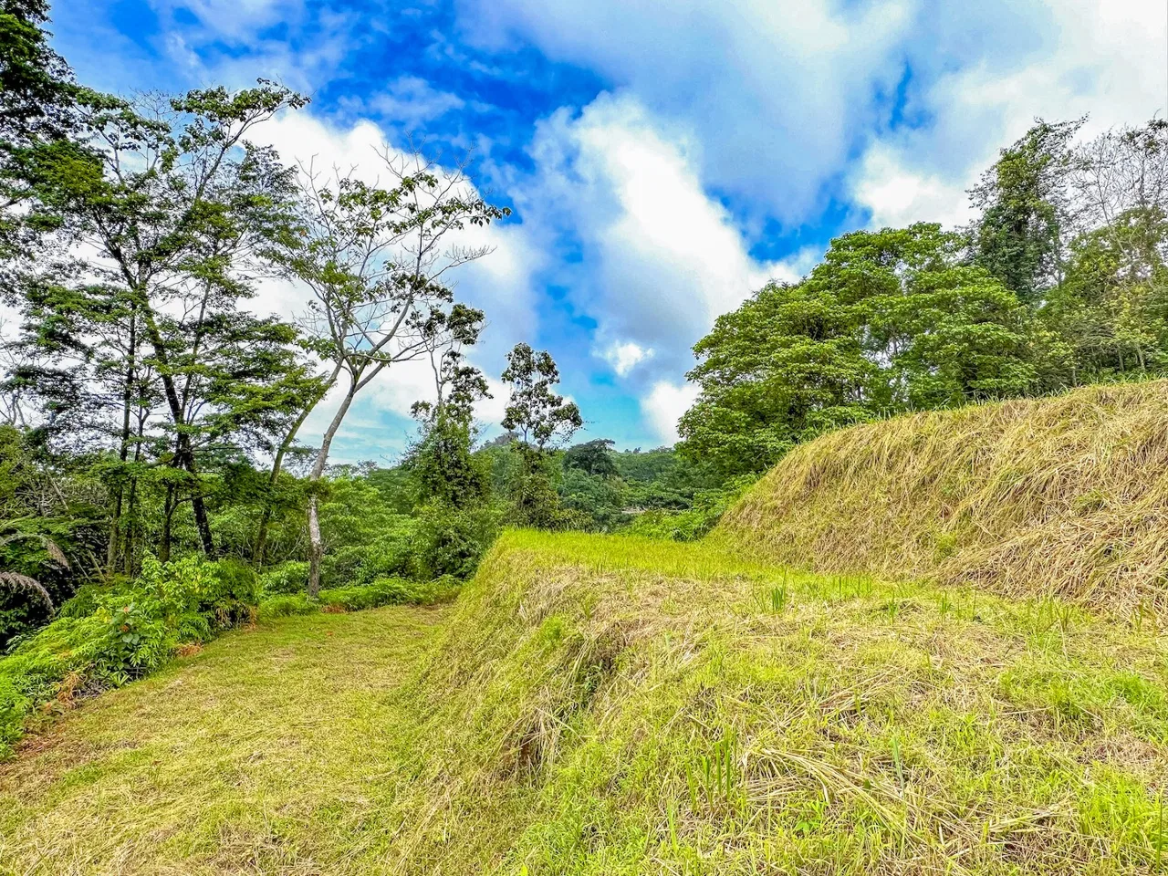 BUILDING PROPERTY WITH AMAZING PANORAMIC OF THE OCEAN, IN TORTUGA ARRIBA PHASE 6 – 0.21 ACRES, photo 23