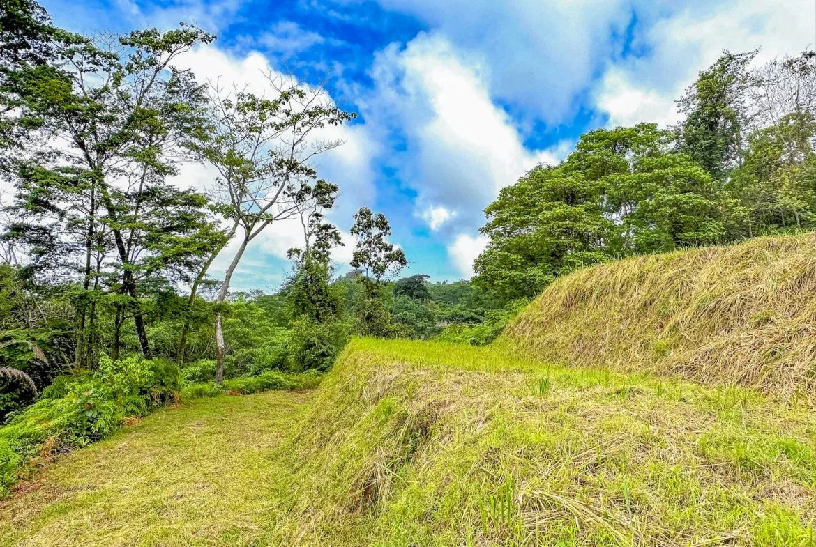 BUILDING PROPERTY WITH AMAZING PANORAMIC OF THE OCEAN, IN TORTUGA ARRIBA PHASE 6 – 0.21 ACRES, photo 24
