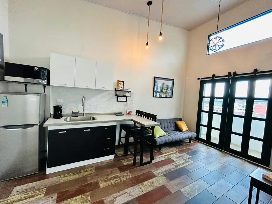APARTMENT FOR RENT IN SAN ANTONIO DE ESCAZU, photo 2