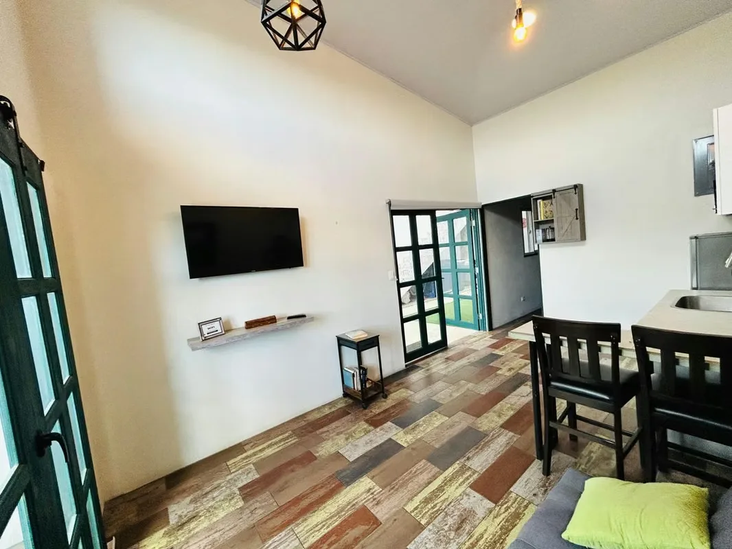 APARTMENT FOR RENT IN SAN ANTONIO DE ESCAZU, photo 6