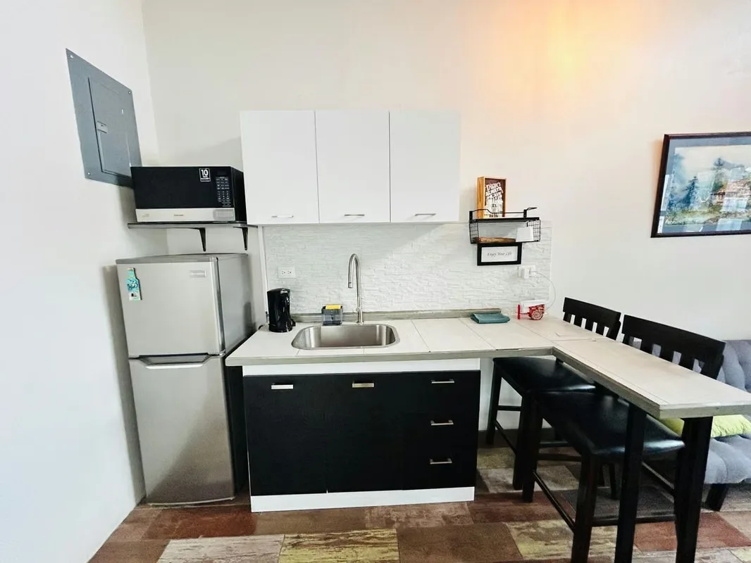 APARTMENT FOR RENT IN SAN ANTONIO DE ESCAZU, photo 10