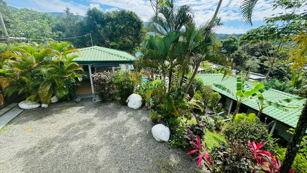 COMMERCIAL PROPERTY FOR SALE IN UVITA – RESTAURANT – RENTALS AND OWNER APARTMENT, photo 5