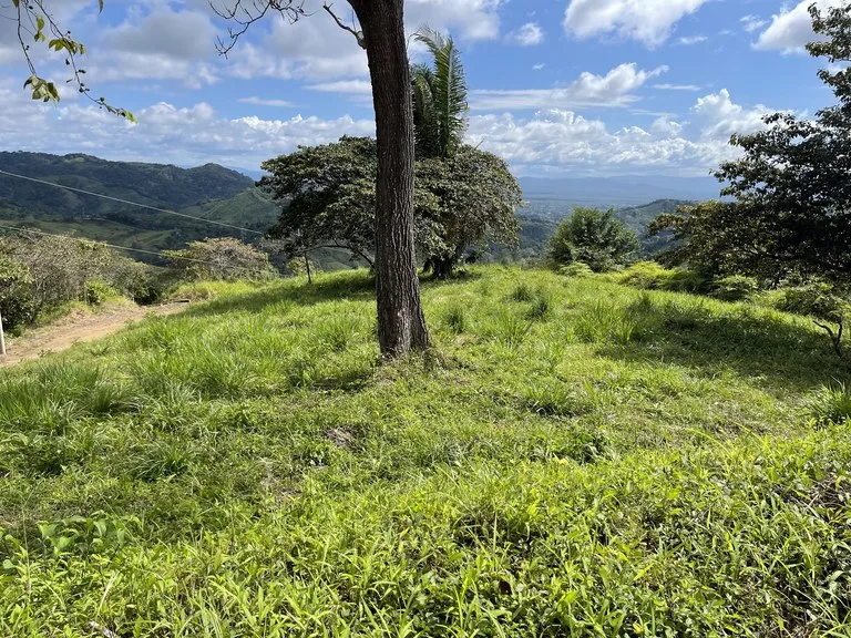 Sunset Ocean View Land with Cano Island Views: Home Construction Site For Sale in Ojochal, photo 2