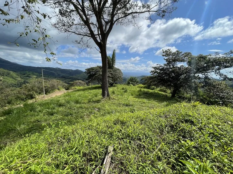 Sunset Ocean View Land with Cano Island Views: Home Construction Site For Sale in Ojochal, photo 3