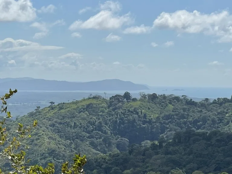 Sunset Ocean View Land with Cano Island Views: Home Construction Site For Sale in Ojochal, photo 4