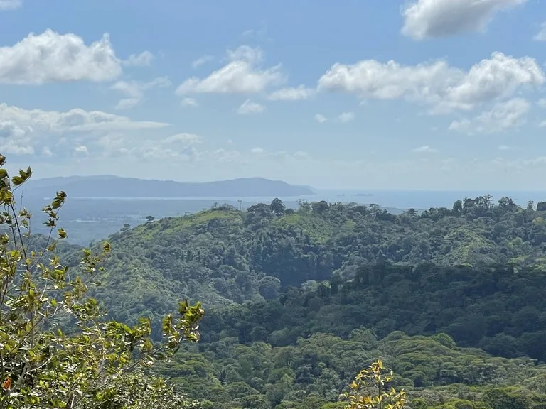 Sunset Ocean View Land with Cano Island Views: Home Construction Site For Sale in Ojochal, photo 5