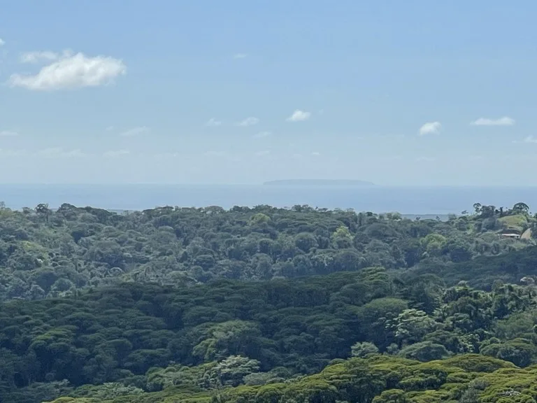 Sunset Ocean View Land with Cano Island Views: Home Construction Site For Sale in Ojochal, photo 7