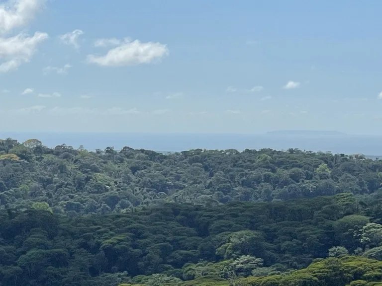 Sunset Ocean View Land with Cano Island Views: Home Construction Site For Sale in Ojochal, photo 8