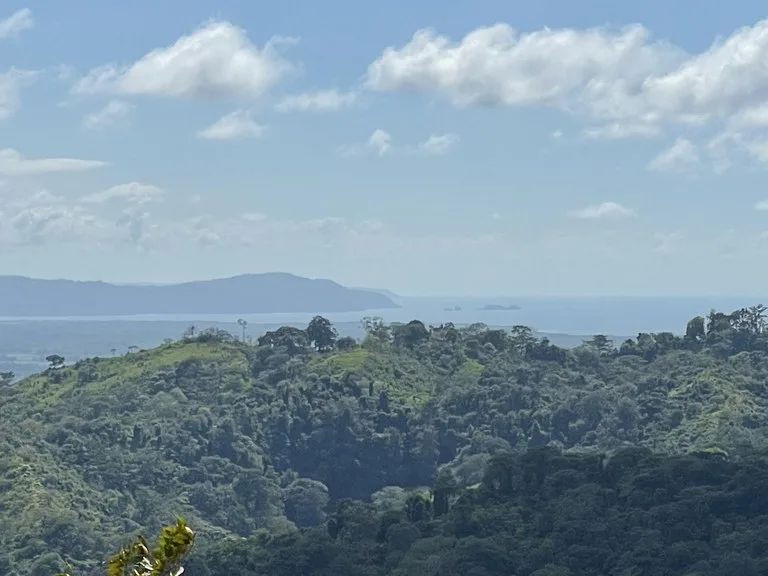Sunset Ocean View Land with Cano Island Views: Home Construction Site For Sale in Ojochal, photo 9