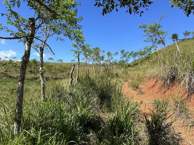 Land For Sale in Perez Zeledon, photo 12