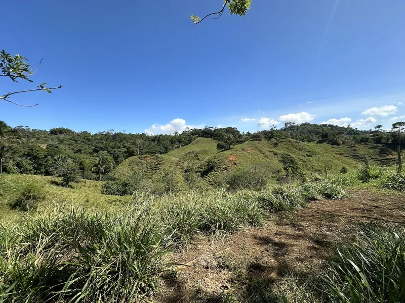 Land For Sale in Perez Zeledon, photo 14