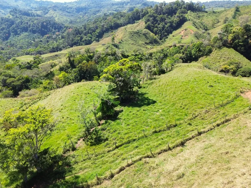 Land For Sale in Perez Zeledon, photo 6