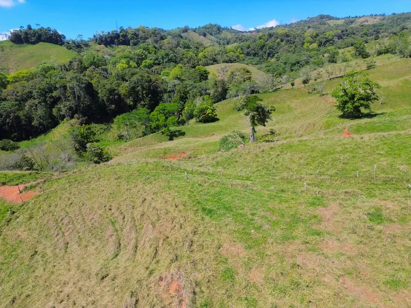 Land For Sale in Perez Zeledon, photo 8