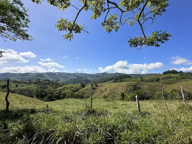 Land For Sale in Perez Zeledon, photo 9
