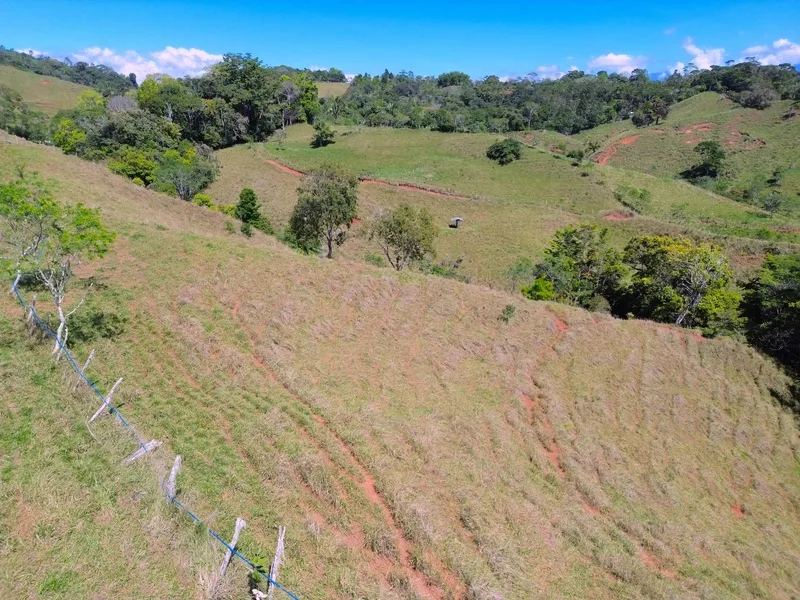 Land For Sale in Perez Zeledon, photo 10