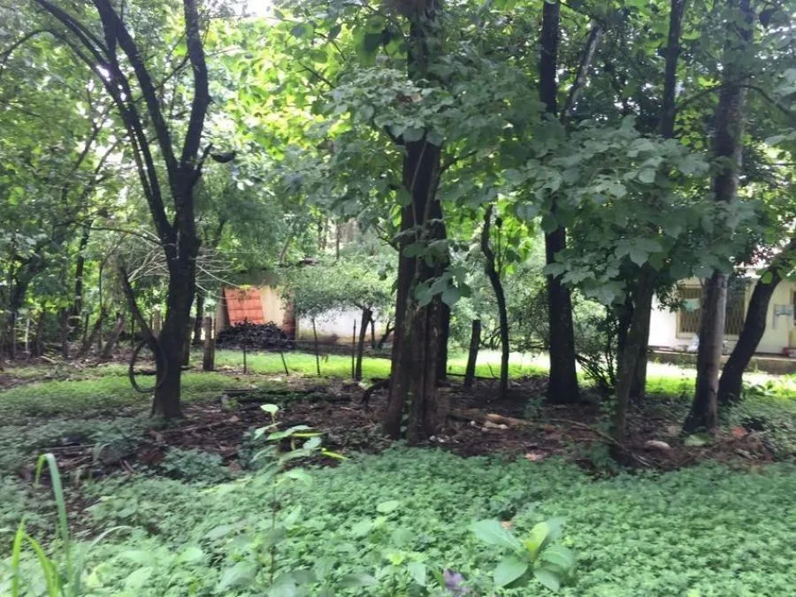Venta de Lote en Guanacaste, Abangares - Venta en Abanganres, photo 3