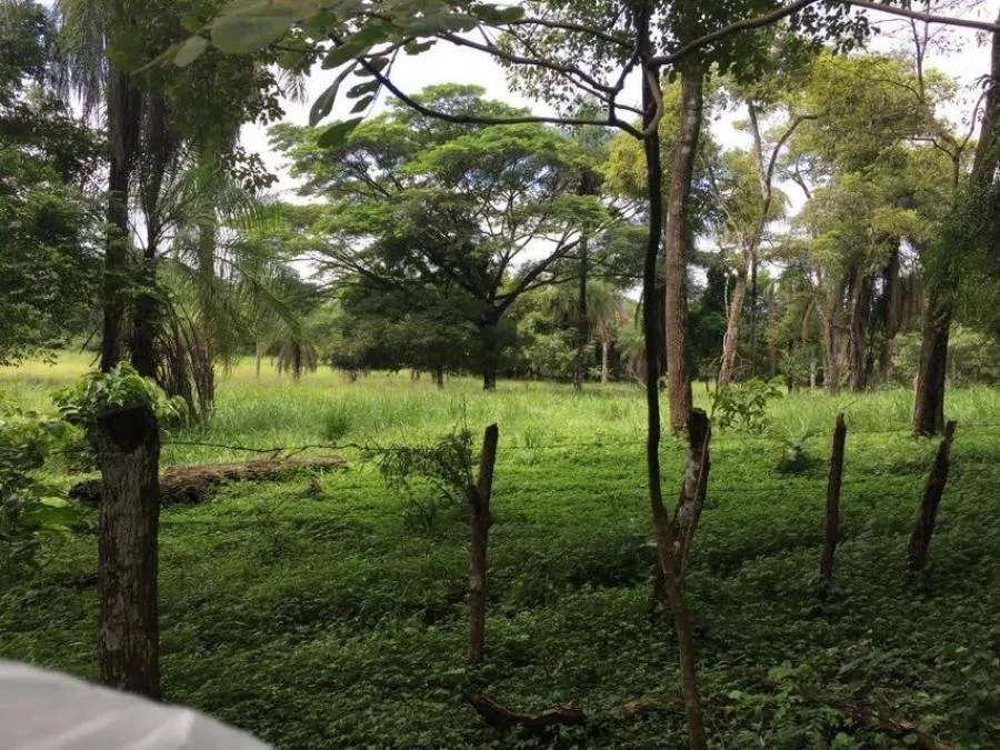 Venta de Lote en Guanacaste, Abangares - Venta en Abanganres, photo 5